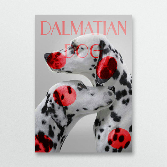 DALMATIAN DOG